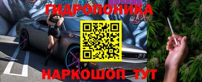 прущие грибы Кулебаки
