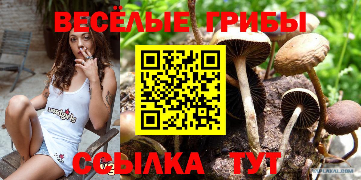 Галлюциногенные грибы мицелий  Вход с VPN  Жуковский 