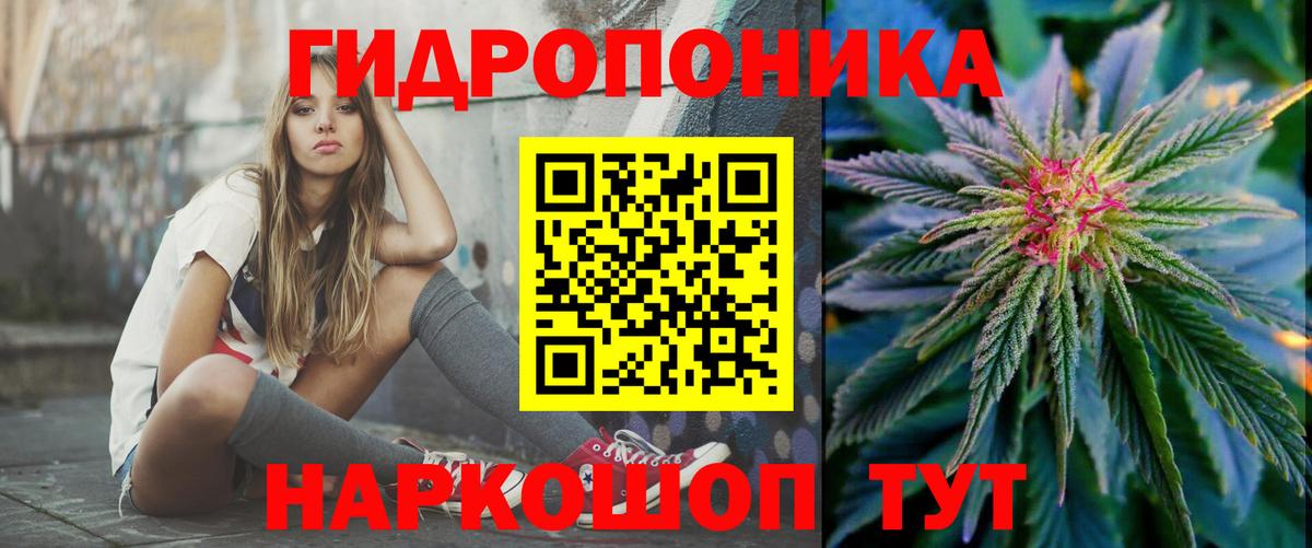 Каннабис семена  Канабис гибрид  Жуковский  Марихуана индика  Вход с VPN 